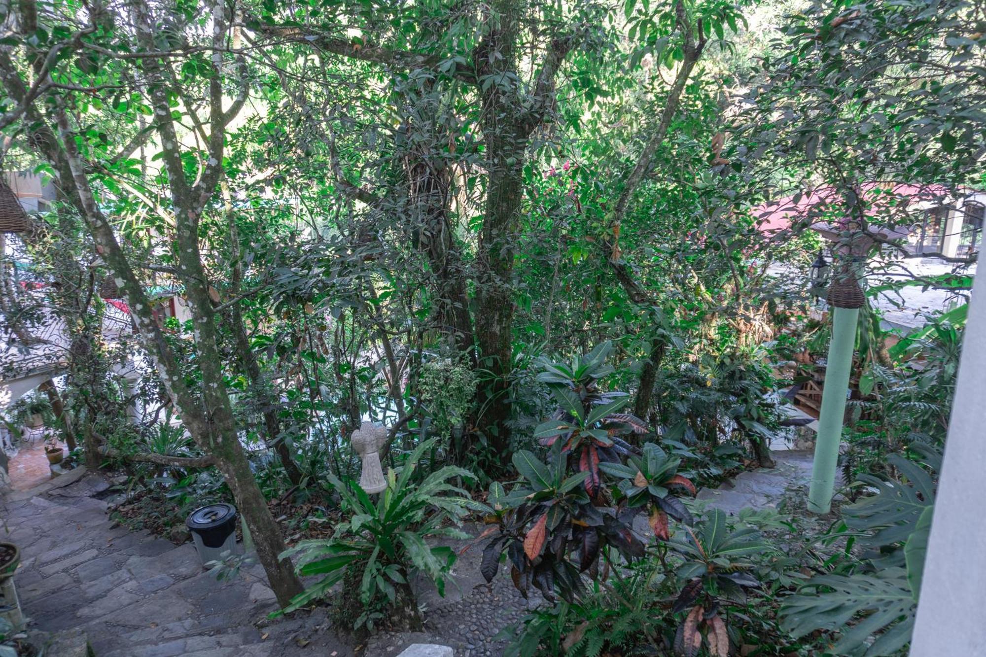 Hotel Paraiso Encantado 希利特拉 外观 照片
